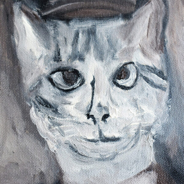 Gato gris - Imagem 2