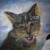 Blues cat - Imagem 2