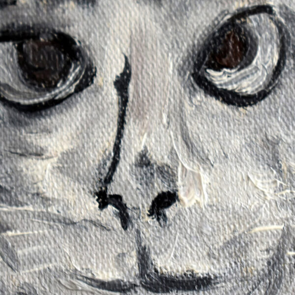 Gato gris - Imagem 4