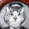Gato cinza - Imagem 2