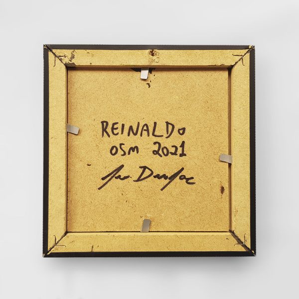 Reinaldo - Imagem 3