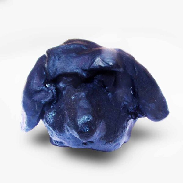 Cão